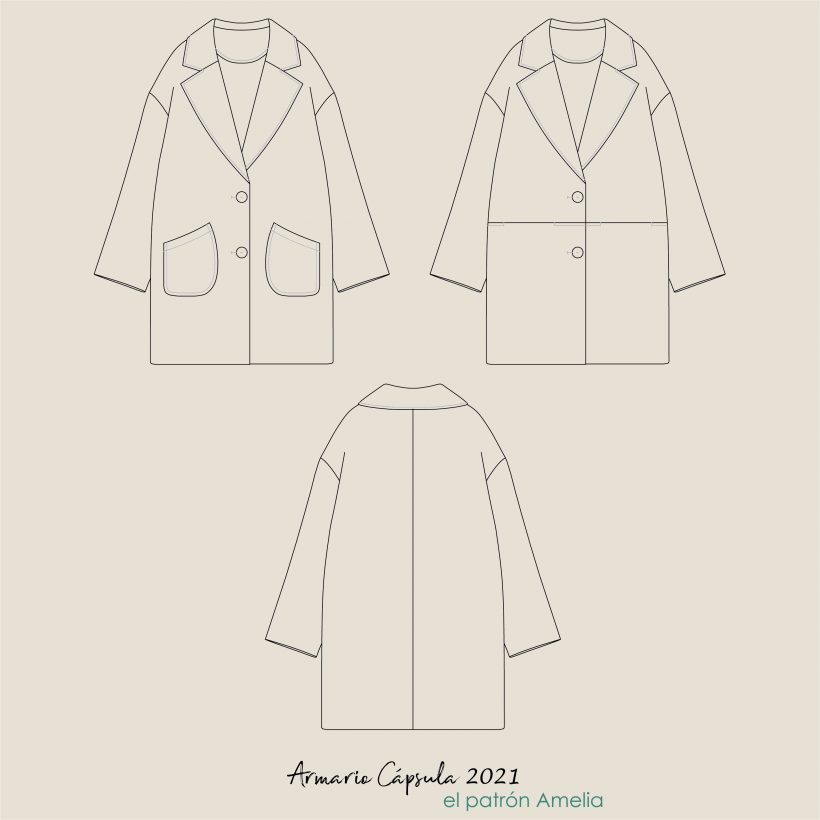 Técnicos_AMELIA_IG